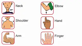 Inglês passo a passo - Aula 45 - Parts of the body