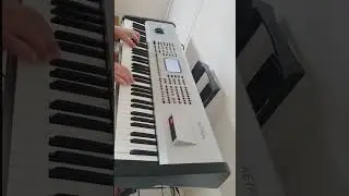 #forr&oacute;dasantigas (programa&ccedil;&atilde;o sampler) Ketron SD1 Plus