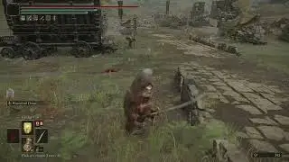 Commander Standard breaks Hand of Malenia in ELDEN RING