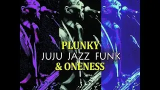 Plunky & Oneness Juju Jazz Funk snippets video 3