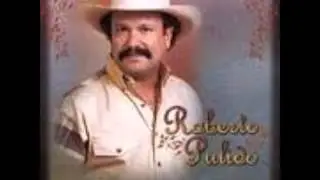 Roberto Pulido / Por mi orgullo