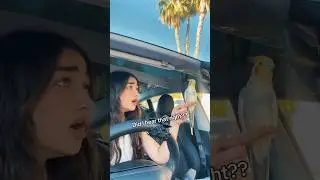 MY EX GAVE MY BIRD BACK&hellip;OMG
