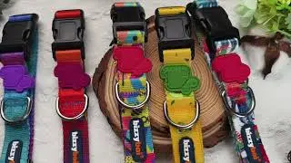China factory for custom printed nylon collar for small canine dog