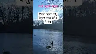 Gaun Khane Katha-Nepali Riddles😯🔍| गाउँ खाने कथा | #riddlenepal #currentgknepal #gaukhanekatha