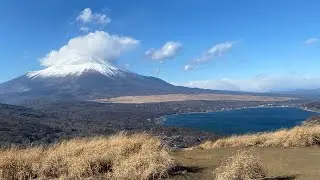 鉄砲木ノ頭に登りました。