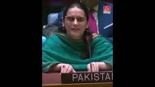 Pakistani diplomat, Saima Saleem,