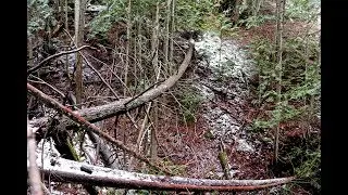 Solo Hot Tenting: Deep Woods Exploration