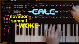 -WOKE-CALC- Novation Summit Microtuning performance with accompanying sonic chums