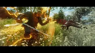 Melee Tank Exploding Quen sign build | Witcher 3  (Highest difficulty/ Upscaled level)