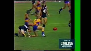Wayne Johnston 1987 - Carlton Football Club Past Player