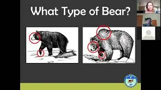 Virtual Presentation: Wildlife Safety in Southeast Alaska