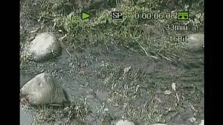 Small Stream Of Water And The Sound Of Children Playing - MiniDV Recording