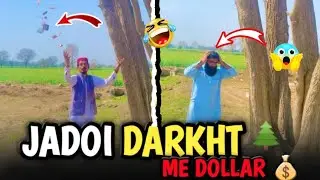 Jadui Darkht 🌲Me Dollar 💰💵#funnyvideo #comedyvideo #teamriaz