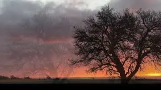 Morgenstund am Haftelhof  ...von Martin Seith-Böhm