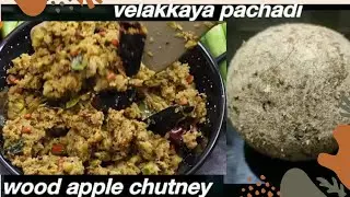 ఎలక్కాయ పచ్చడి Elakkaya pachadi alakkaya pachadi Wood applechutney Vellakaya Pachadi వెలక్కాయ పచ్చడి