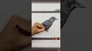 Ultra-Realistic Crow Drawing in 60 Seconds #inktober #inktober2023