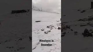 Snowfall in Himalayas J&K | Jammu Poonch #jammu #reels #snowfall #december #holidays #newyear