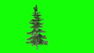 green screen tree