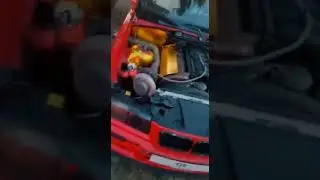 this is on firee !!!!  #cars #car #shorts #short #shortvideo