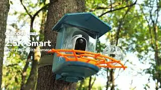 Outinput PF710 Smart Bird Feeder with Camera