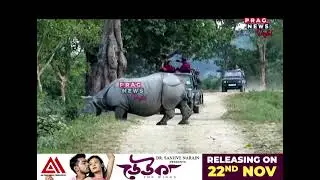 কাজিৰঙালৈ আহক, বিবাহ অনুষ্ঠানৰ আয়োজন কৰক; সামাজিক মাধ্যমত অসম পৰ্যটনৰ বিজ্ঞাপন