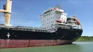 Cargo Ship GARDNO Downbound on the Welland Canal by Bridge 11 in Allanburg