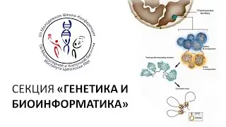 Запись докладов секции 