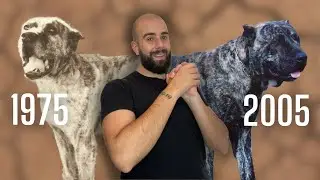 La HISTORIA del PRESA CANARIO