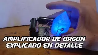 Amplificadores de Org&oacute;n explicados en detalle.