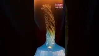 Burning a Candle Close-Up! #closeup #macro #asmr #zoom