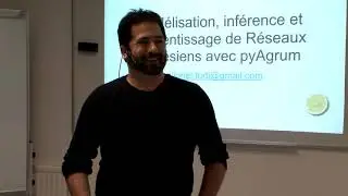 Modélisation, inférence et apprentissage de Réseaux Bayésien avec pyAgrum