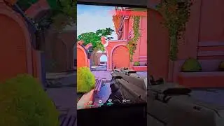 Asus Rog Ally Externally Running Valorant 1440p 165hz Dell Monitor (120hz allowed through HDMI)