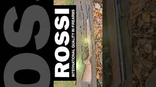 A Close Look at the ROSSI RB22 RIFLE .22 LR with 18