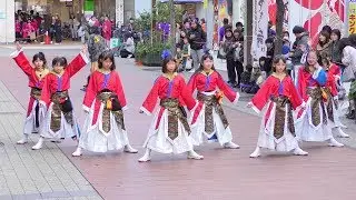 「ダンスチーム凛 阿修羅組」四日市よさこい やったろ舞2018【ふれあいモール】