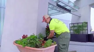 Turfscape Landscape Enhancement