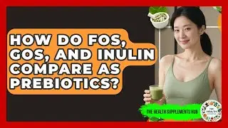 How Do FOS, GOS, And Inulin Compare As Prebiotics? - The Health Supplement Hub