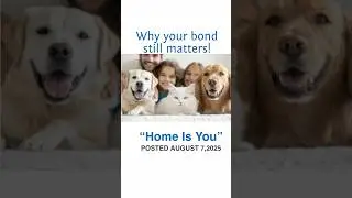 Why Your Bond With Your Pet Still Matters NAPPS Blog Home Is You PetSitters.org