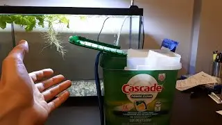 How to Silence Noisy Aquarium Air Pumps