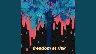 Freedom at Risk
