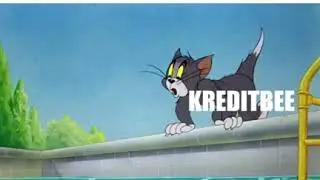 When Bank Loans try to Defeat KreditBee