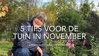 5 TIPS VOOR DE TUIN IN NOVEMBER