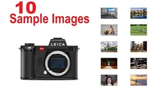 Full-Frame LEICA SL2 Photography [SAMPLE IMAGES] High Resolution ART FOCUSED Mirrorless Camera