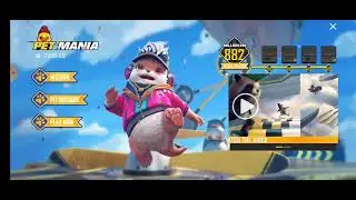 PET MANIA EVENT FULL DETAILS