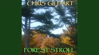 Forest Stroll