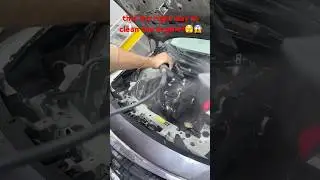 this the right way to clean the engine?🫣🫣😱 #dubai #automobile #autocleaning #india #luxurycars