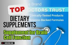 Top 5 Dietary Supplements about Supplement for Brain Cell Function Finest of NOW