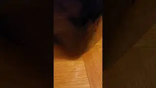 Midea Duo 12000 BTU noise