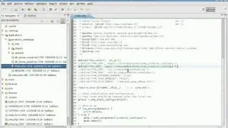 P4A: Multidatabase