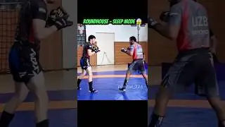 Roundhouse Kick = Instant Sleep 😴💥 #shorts #mma #boxing #muaythai #kickboxing #selfdefense #fight