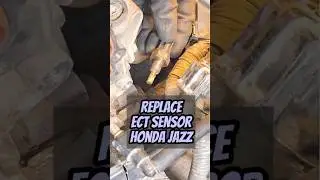 REPLACE ECT SENSOR #hondajazz #hondafit #enginecooling #sensor #temperature #automobile #cooling